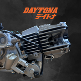 Daytona Anima 190cc FE Motorblock (mit elektrischem Starter)
