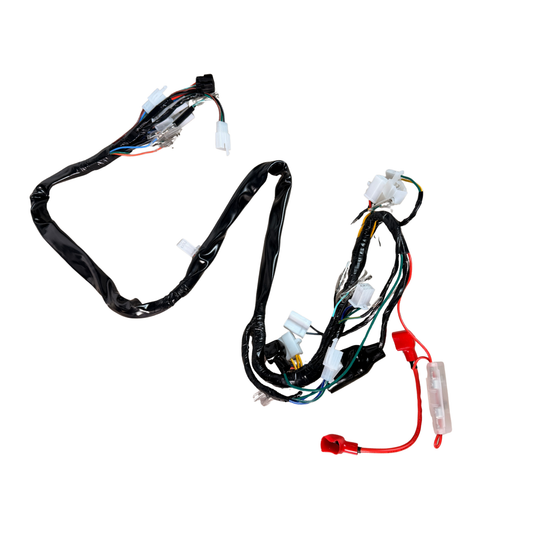 Kompletter Kabelbaum für Skyteam Dax 125cc Euro 4