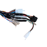 Complete wiring harness for Skyteam Dax 125cc euro 4