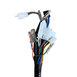 Complete wiring harness for Skyteam Dax 125cc euro 4