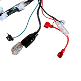 Complete wiring harness for Skyteam Dax 125cc euro 4