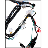 Complete wiring harness for Skyteam Dax 125cc euro 4