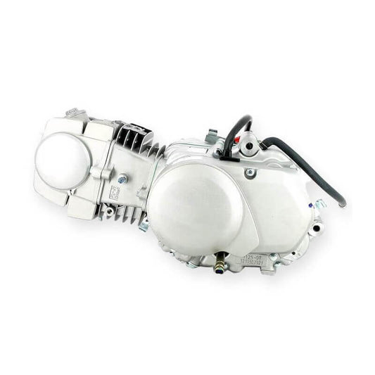 Daytona 125cc SOHC engine block for Dax, Pitbike, Monkey..