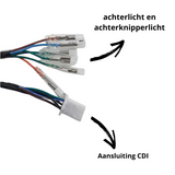 Wiring harness for Euro 2 Dax - Skyteam Zhenhua 50cc- 125cc 