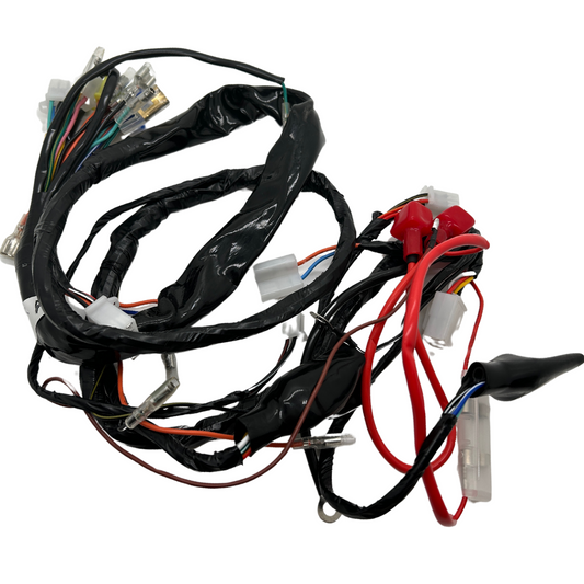 Kompletter Kabelbaum-Nachbau für Dax 12 Volt 