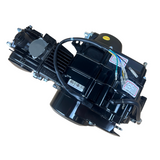 Madmunk 50cc Moteur noir - Manuel - 4 Vitesses kick start. Dax,. (49cc) 