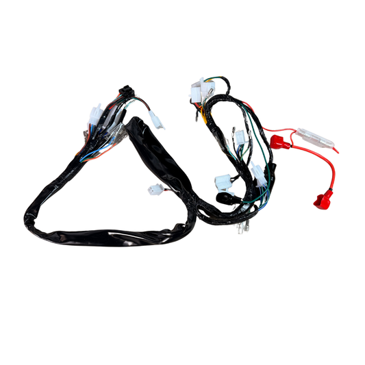 Kompletter Kabelbaum für Skyteam Dax 125cc Euro 4 