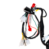 Faisceau complet pour Skyteam Dax 50cc euro 5 